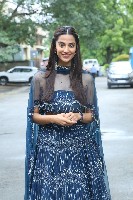 Meenakshi Chaudhary Gallery